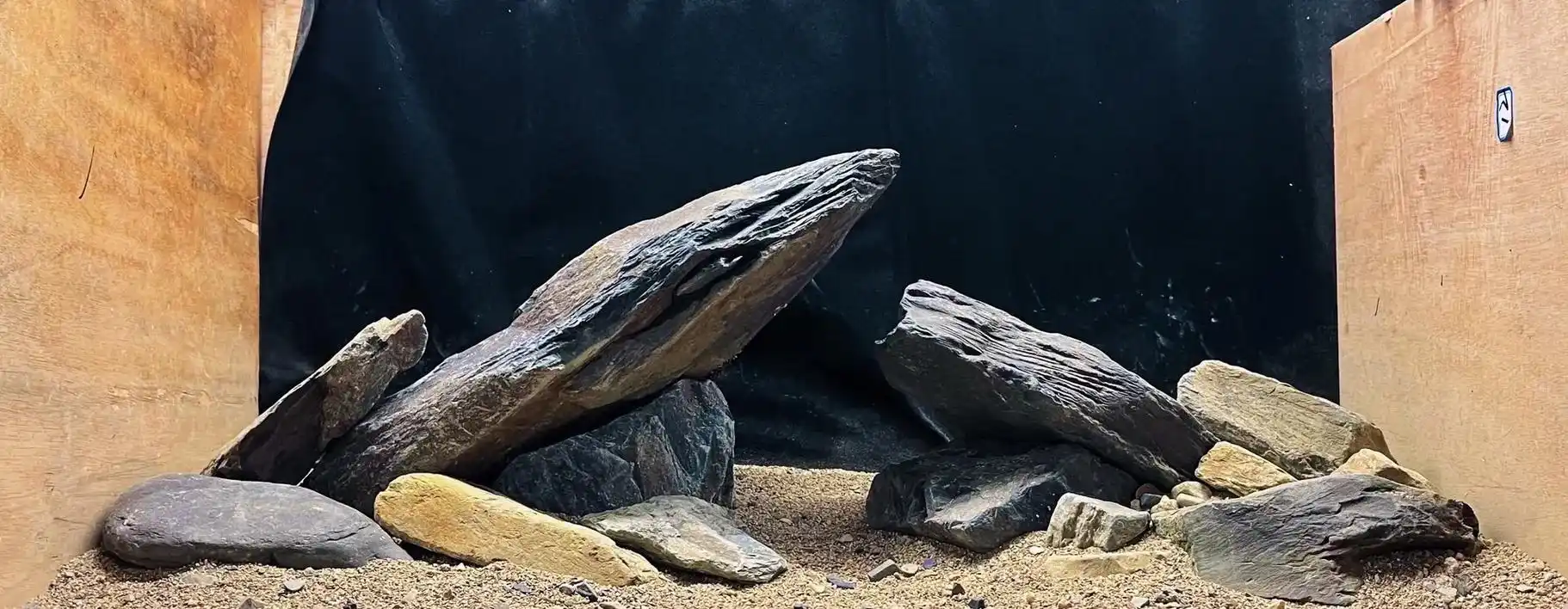 闲来无事分享几个溪流缸造景作品.#溪流缸 #原生造景 #鱼缸 - 抖音