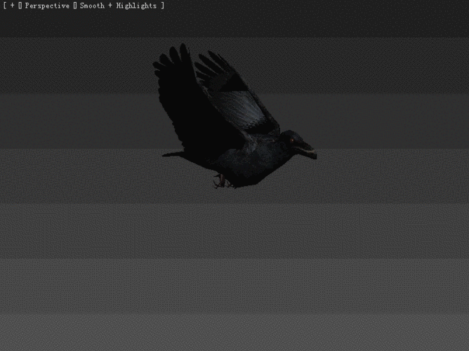 max 写实 乌鸦模型 绑定加14个高质量动画
