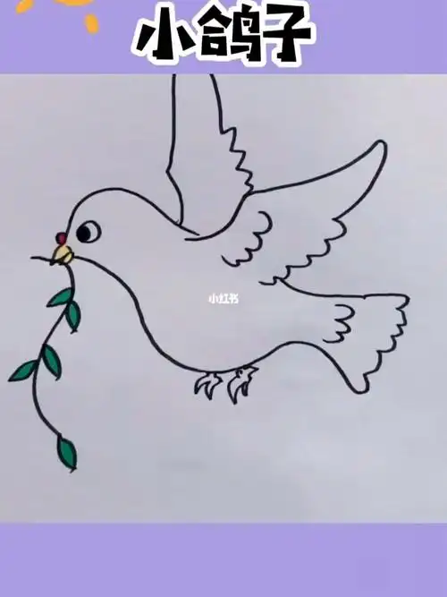 小鸽子简笔画教程