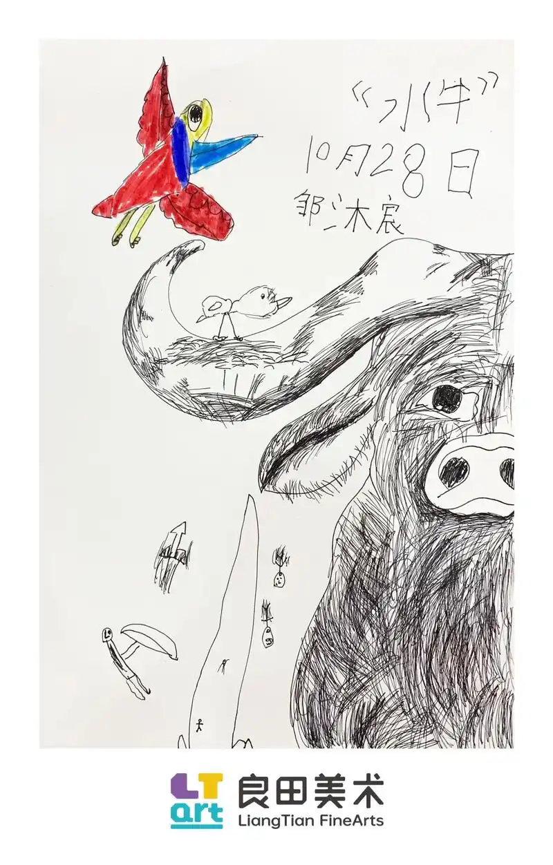 分享一组线描基础班学员作品——《水牛97》 #学书画来良田  - 抖音