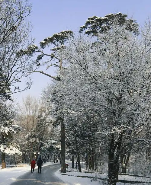 沈阳北陵公园雪景