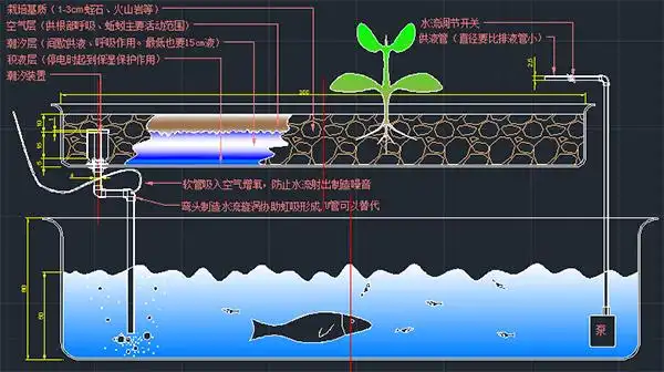 鱼菜共生系统简介