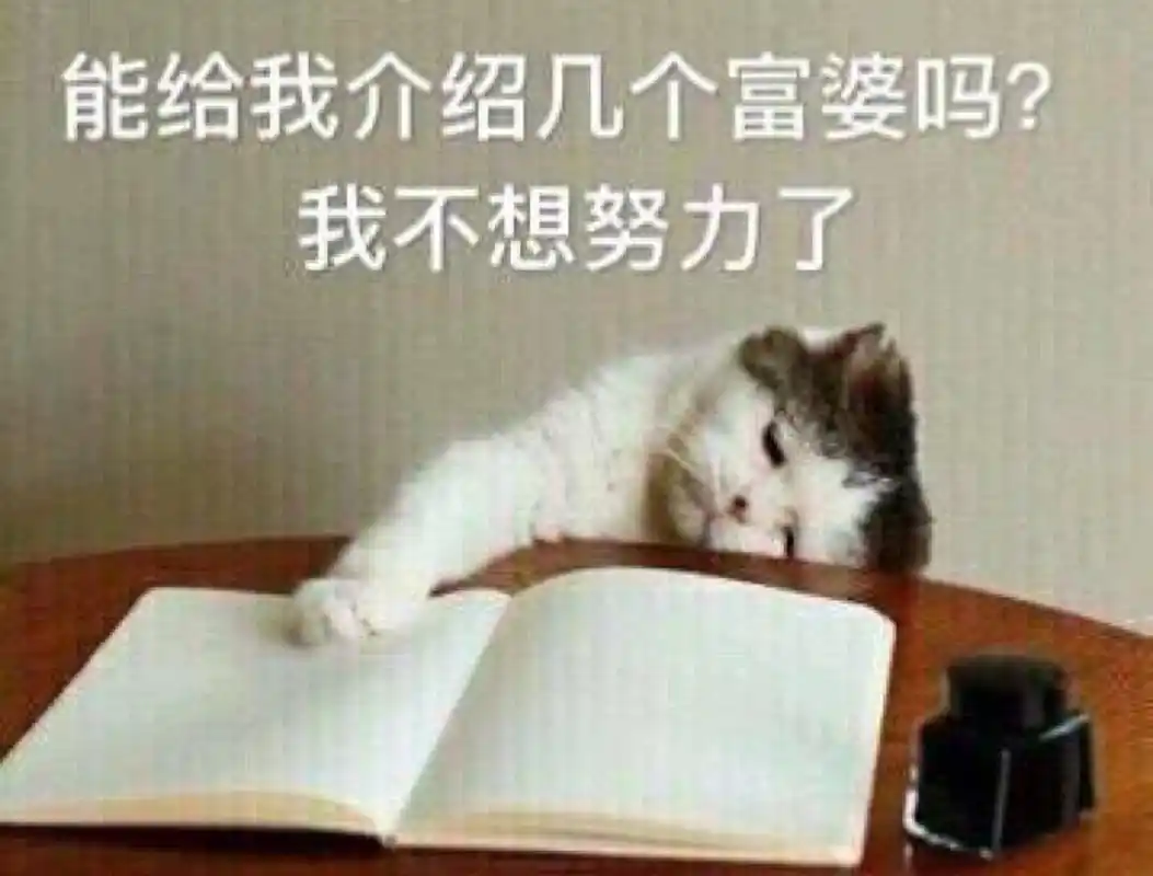 能给我介绍几个富婆吗我不想努力了