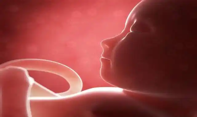 原来孕期准妈妈晒太阳时,胎宝宝是这样的反应,看完被萌化了