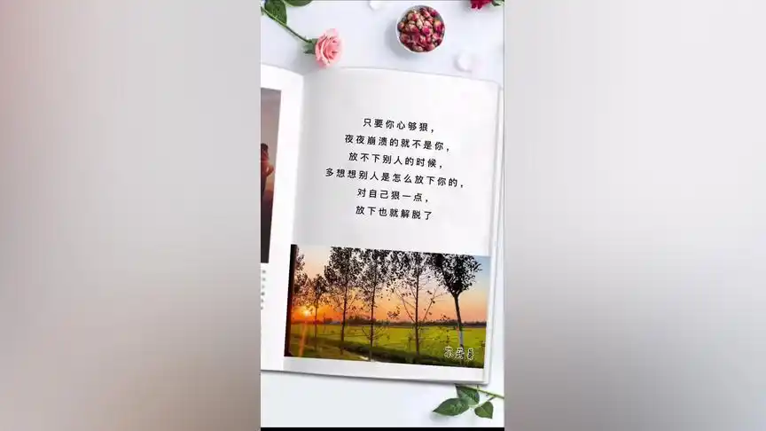 情感 #书单 #爱情 #人生 #所有失去的都会以另一种方式归来