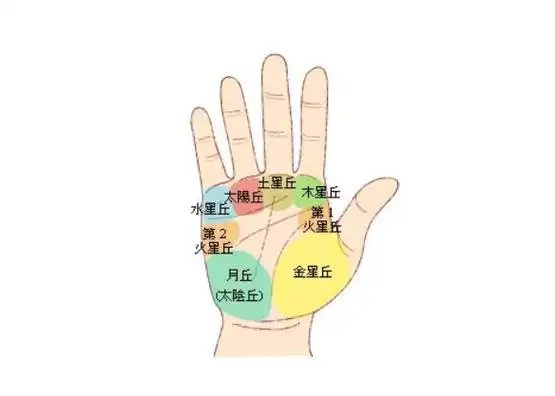 手心有痣的男人代表什么意思手心有痣的男人好不好