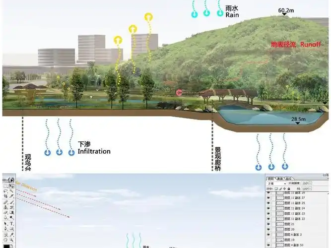 海绵城市雨水花园公园psd剖面图源文件