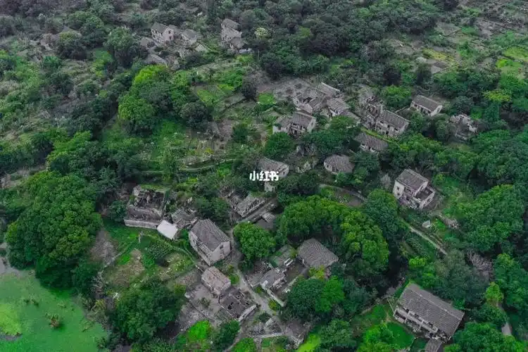 废弃无人村