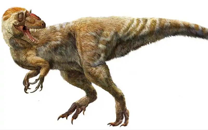 【pnso恐龙博物馆】 赵闯讲恐龙 羽王龙银器复原图