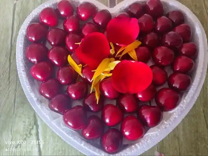 自己家樱桃棚!口感很好!礼盒装!可顺丰快递发货! - 抖音