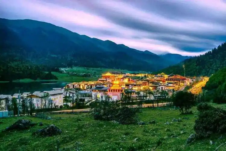 在鲁朗留下的足迹(作者蔡皓然)