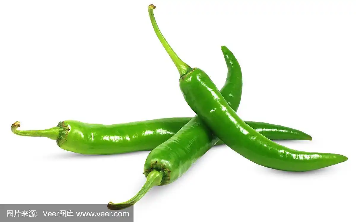 绿辣椒,白色,分离着色,农业,蔬菜