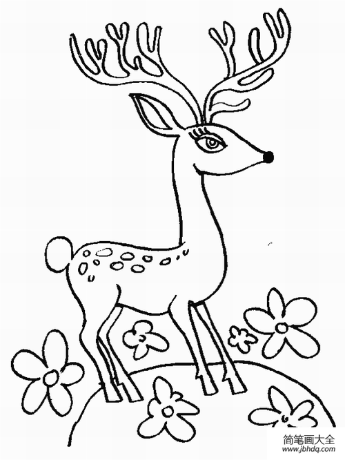 漂亮的梅花鹿_其他动物简笔画-简笔画大全