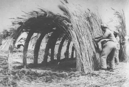 ["奋斗者说"老党员口述史]王成孝:党龄"50 ",耕耘北大荒廿六载