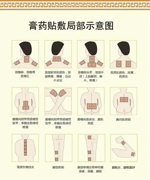 荷叶茶批发/减脂/便秘 减肥茶 常润茶 润肠茶 荷叶茶招商代理批发