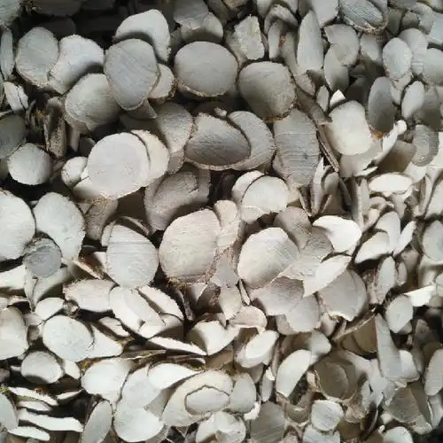 浙江三棱(规格/统片)供应_康美中药城