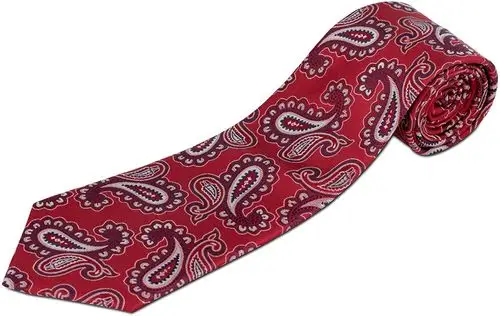 * 真丝超长佩斯利领带适合高大男士(160.02cm xl 和 177.