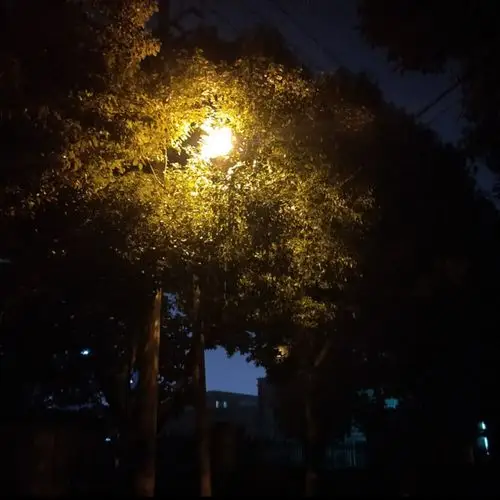 灯把黑夜烫了一个洞 这是我听过最美的梦