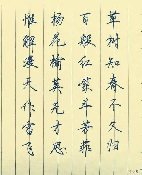 "硬笔行楷"字体 书法古诗作品硬笔