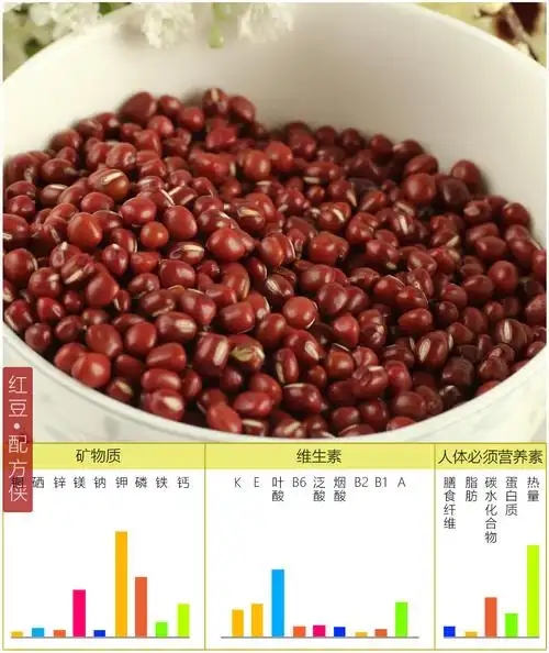 豆子的种类有哪些分别都有什么作用一篇文章写全所有豆子