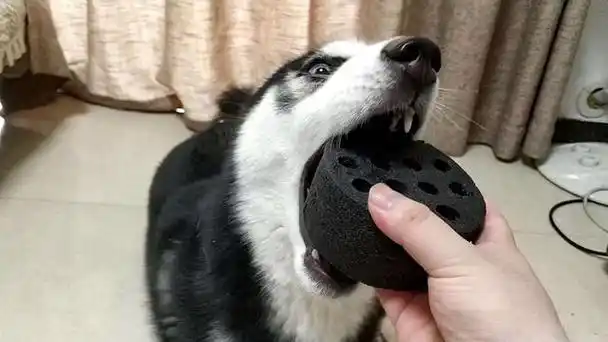 这一些图片,确实笑喷了