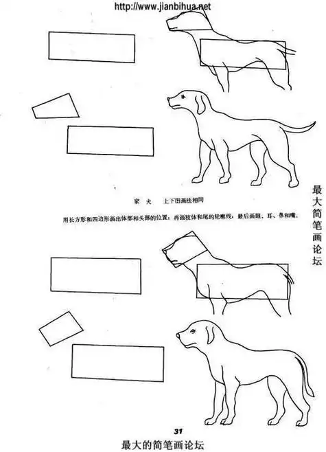 恶犬简笔画教程
