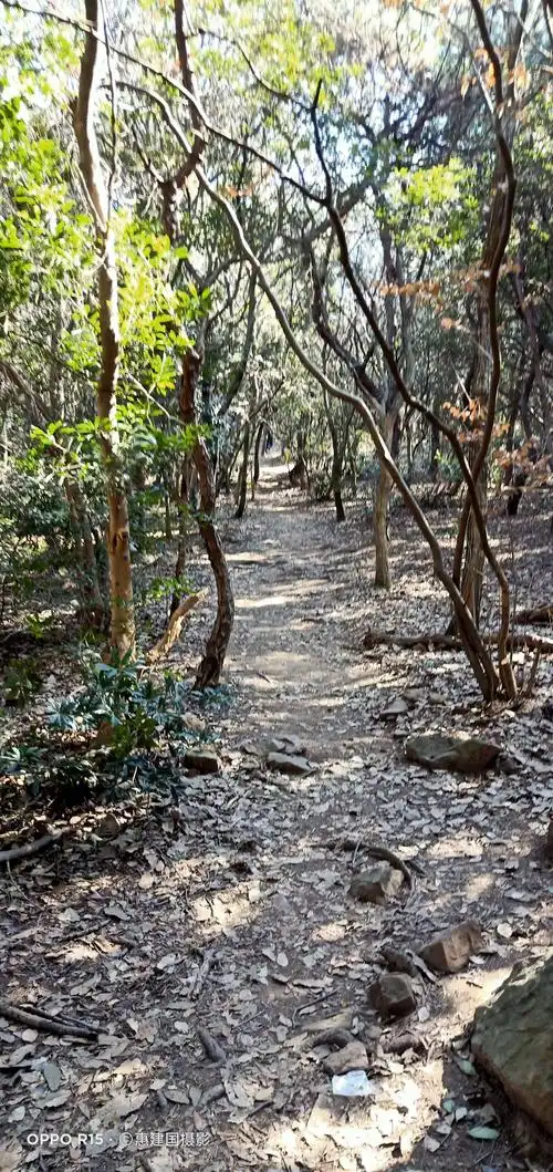 无锡军嶂古道徒步行 - 美篇