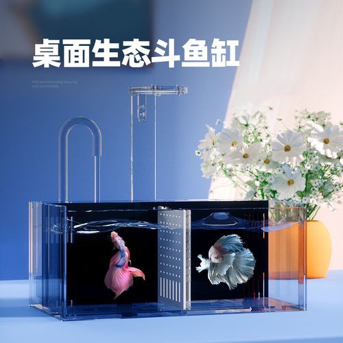 图二款黑背鱼缸常规1格15cm 水