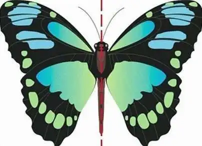 数学枯燥乏味太难懂?快来看看生活中这些"对称美"!