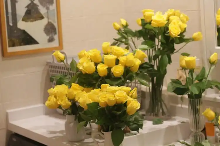 黄玫瑰的味道就像淡淡柠檬草