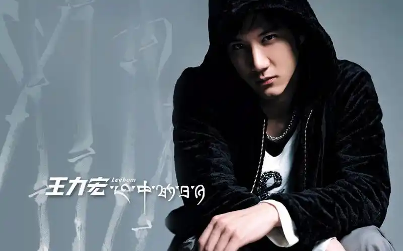 【王力宏 leehom wang】《心中的日月 shangri-la》官方karaoke合集