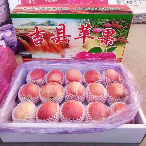 山西红富士苹果礼品装10斤(含箱)2022当年采摘吉县当地产地直发