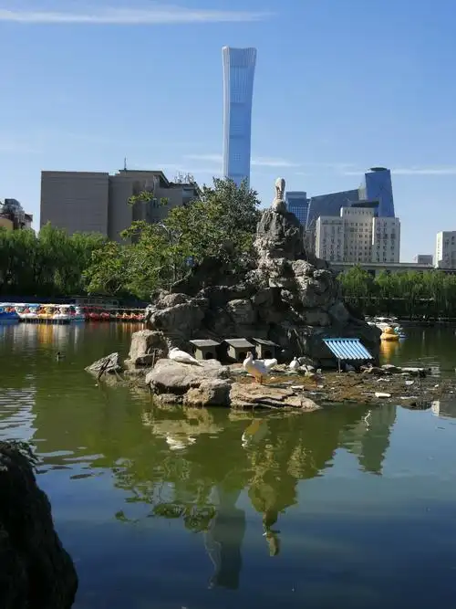 初夏的北京团结湖公园