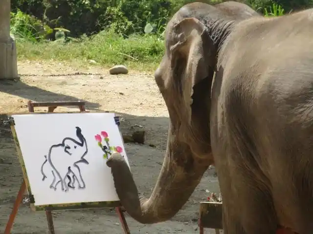 用鼻子卷起驯兽师,并扔到地上踩碎,大象玛丽为何发狂?