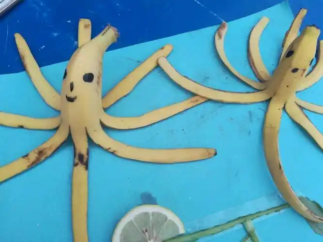 子岸镇高寨小学秋季手工作品展---——《蔬菜水果的爱》