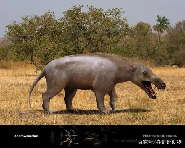 远古猛兽探秘——安氏中兽