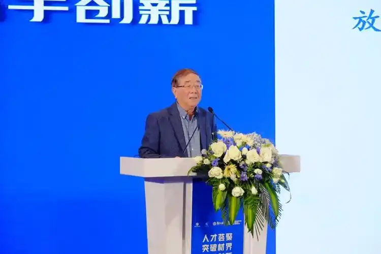 活动现场,中国科学院院士柴之芳,朱美芳,国家自然科学基金委交叉科学