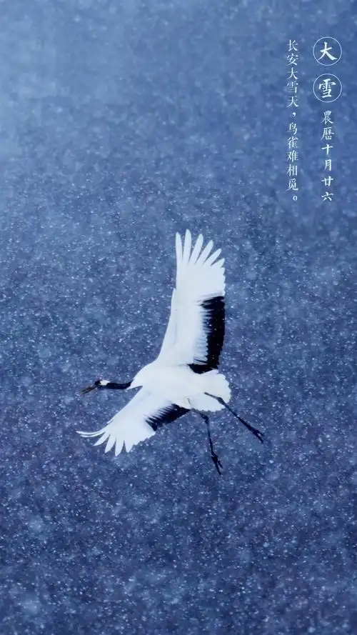 唯美古风二十四节气之大雪