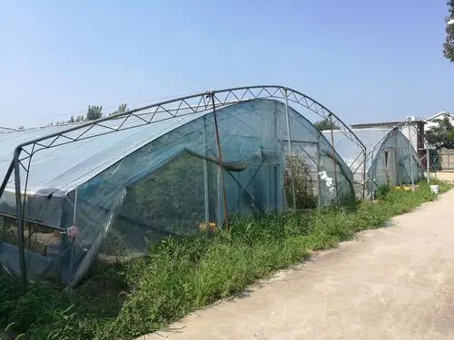 蔬菜大棚整体出租(副本)