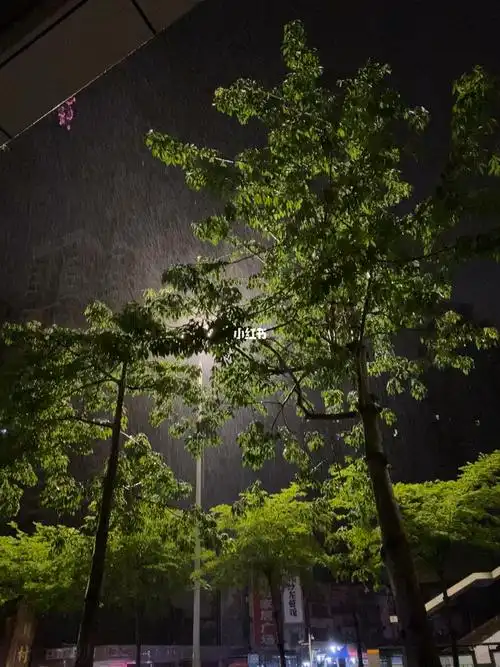 下雨的夜晚