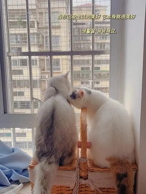 快来一起看电视呀