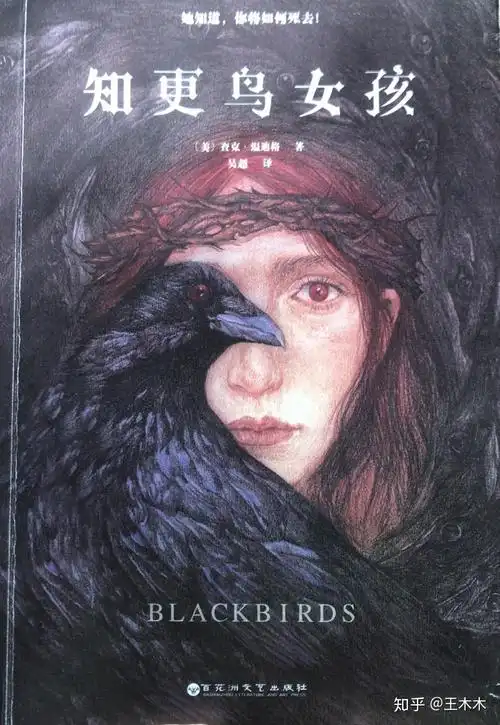 知更鸟女孩怎么样