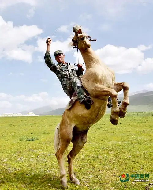仰望高原,最后的铁血骑兵在冲锋!