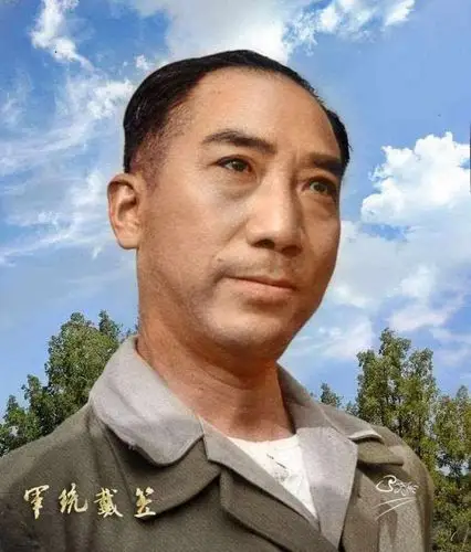 戴笠飞机失事, 是意外事故还是蓄谋已久的暗杀行动