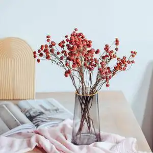 【干花真花红豆】干花真花红豆品牌,价格 - 阿里巴巴