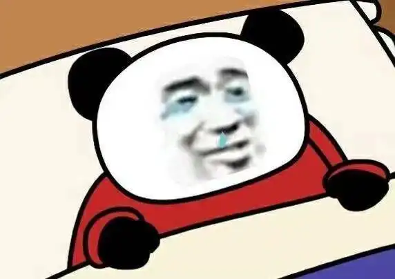 熊猫头躺在床上哭泣