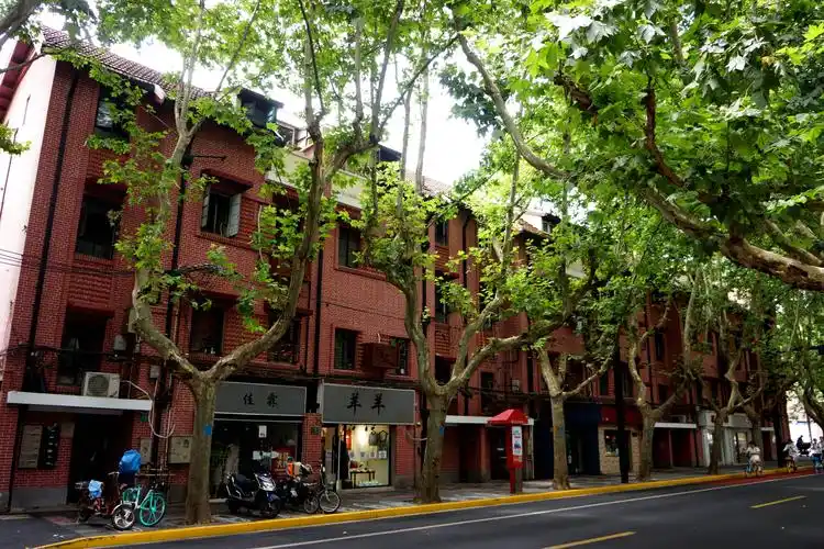 漫步老上海:新华路