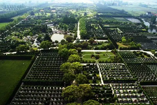 汇龙园墓地浦东永福园林墓地嘉定华亭息园嘉定青竹园浦东玫瑰园墓地
