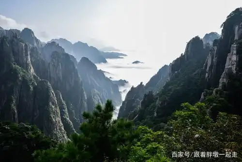 6平方千米,有72峰,主峰莲花峰,光明顶和天都峰并称三大黄山主峰,奇松