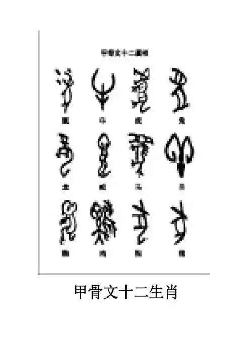 甲骨文十二生肖